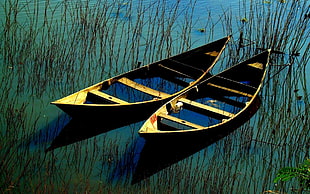 two brown canoes, boat, water, plants, vehicle