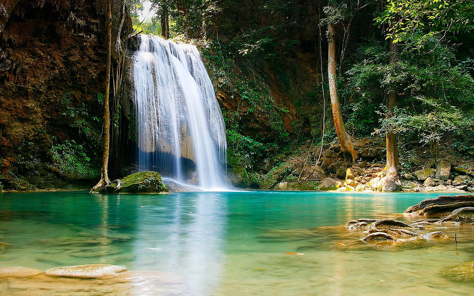green trees surrounding water flowing on waterfalls during daytime HD wallpaper