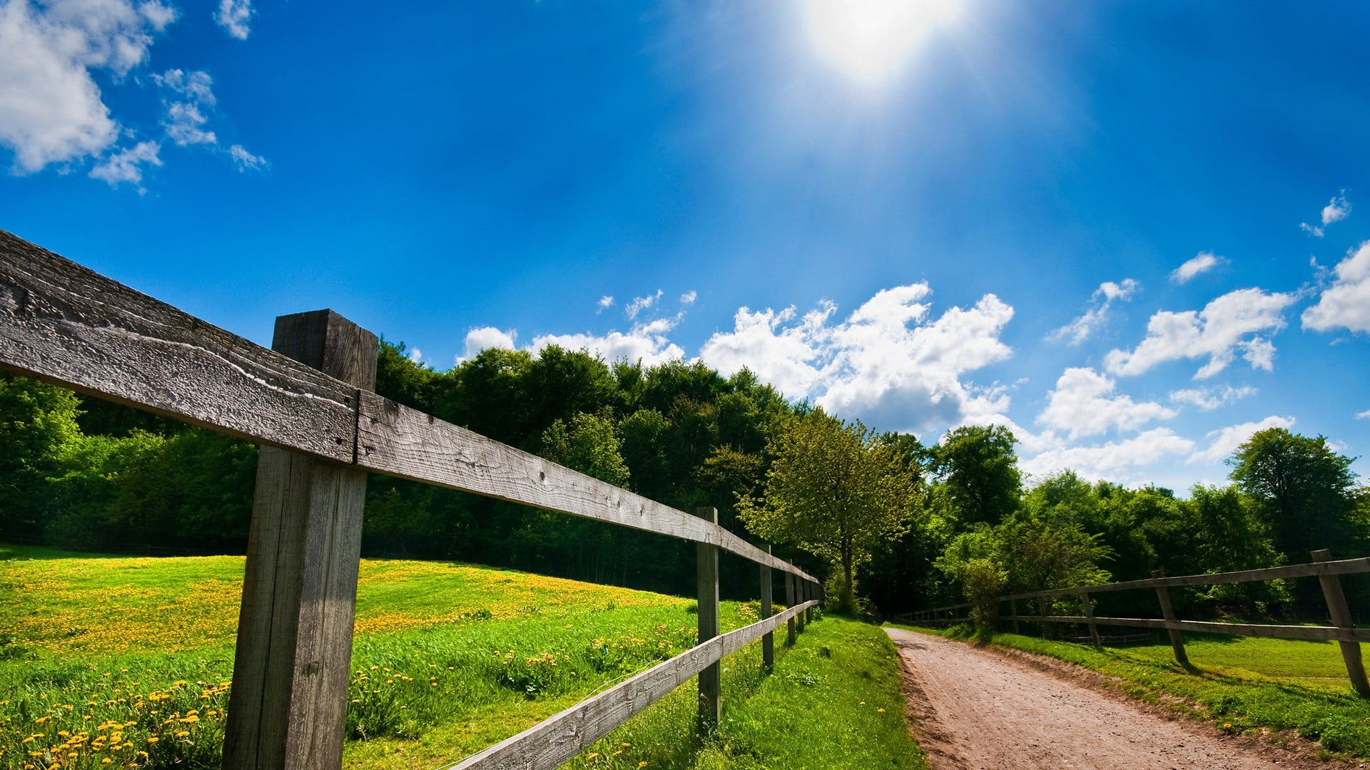 green grass field, nature, landscape