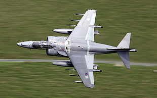gray fighter plane, airplane, war, military, Harrier HD wallpaper