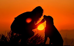 silhouette of woman and dog during sunset