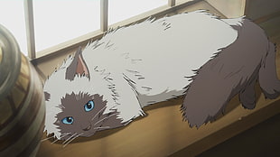 himalayan cat anime, cat, anime, Granblue Fantasy