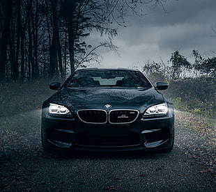 black BMW car, car