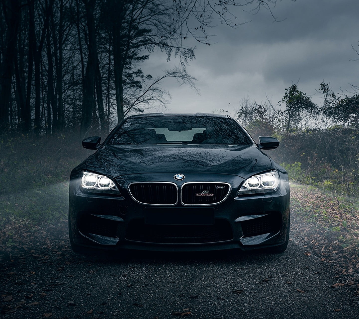black BMW car, car