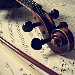 photo of brown violin with musical notes