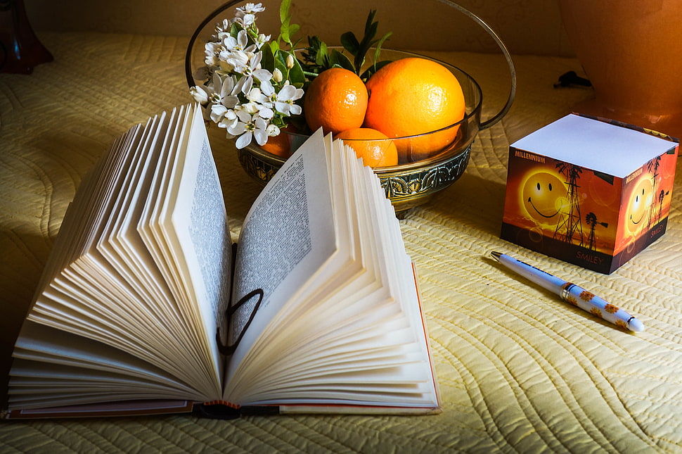 open page book HD wallpaper