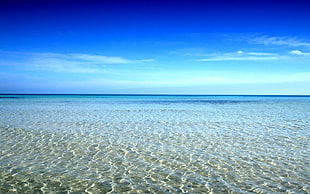 blue crystal water, beach, sky, sea, water HD wallpaper