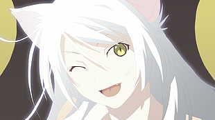 white-haired female fox anime character digital wallpaper, Monogatari Series, nekomimi, Hanekawa Tsubasa, cat girl