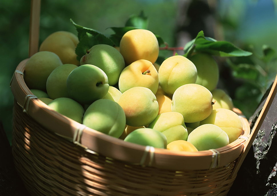 closeup photography of basket of green and yellow fruits HD wallpaper