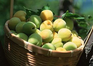 closeup photography of basket of green and yellow fruits