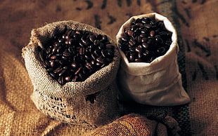 two sack of coffee beans HD wallpaper
