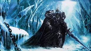 Arthas Warcarft 3 Frozen Throne, fantasy art, Warcraft, Arthas, Lich King HD wallpaper