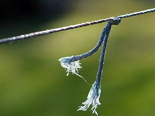 close up photo of gray rope