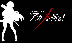 Akame Ga Kill digital wallpaper, anime, Akame ga Kill!, Akame HD wallpaper