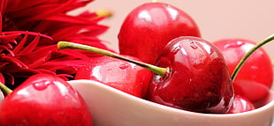 bunch of cherries HD wallpaper