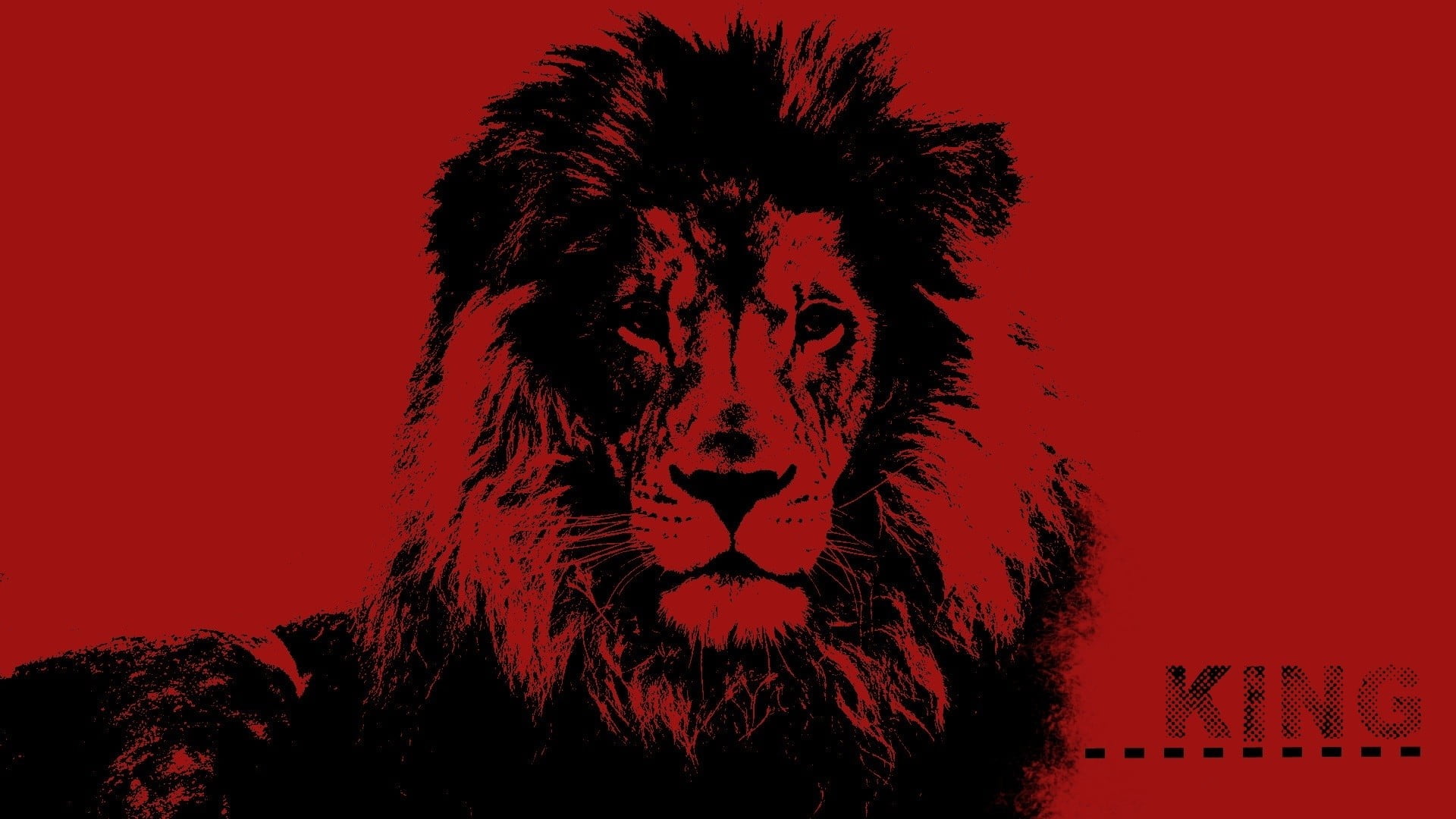 Abstract Lion Wallpaper Hd
