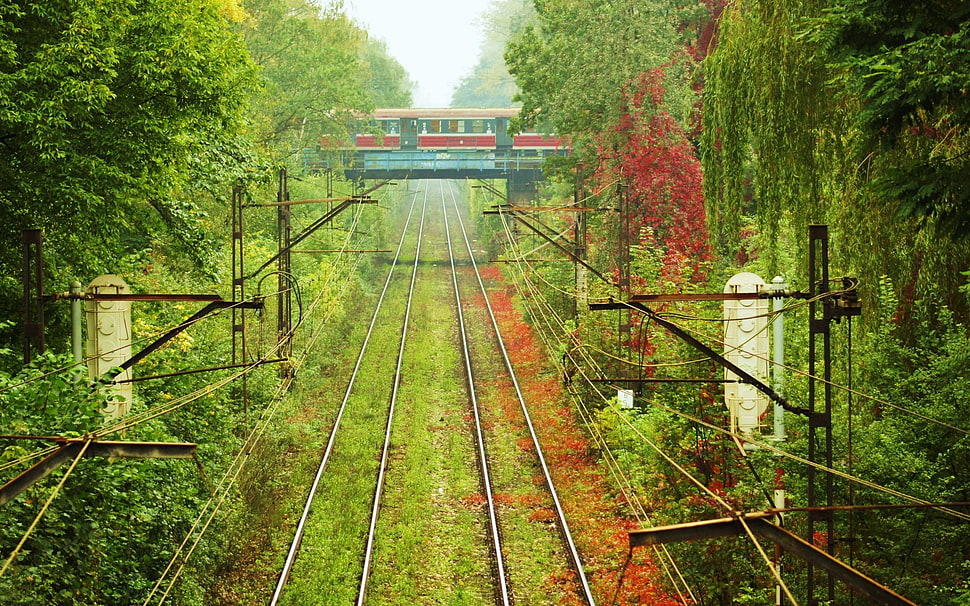 black metal trail track beside trees and field of flowers HD wallpaper