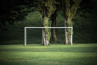 soccer goal, grass, green, trees, sport  HD wallpaper