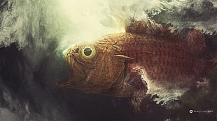 brown fish painting, Desktopography, nature, animals, fish HD wallpaper