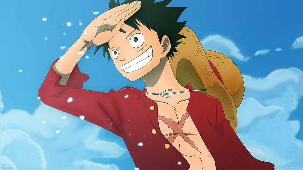 animated photo of One Piece character HD wallpaper