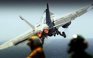 gray jet fighter, military, McDonnell Douglas F/A-18 Hornet, military aircraft, vehicle