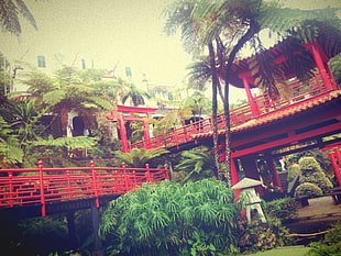 green leafed plants, filter