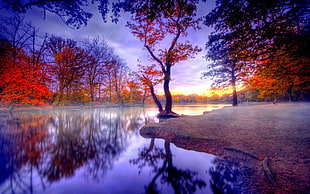 panoramic photography of body of water with trees and sky reflection