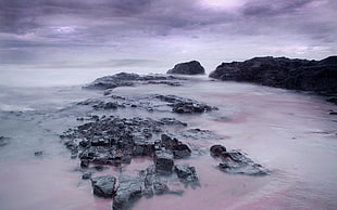seashore and rocks, coast, nature HD wallpaper