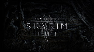 The Elder Scrolls V Skyrim poster, The Elder Scrolls V: Skyrim HD wallpaper