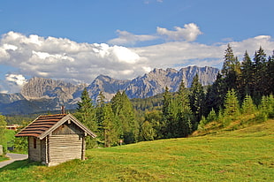 brown wooden house surrounding by green grass and pine trees on mountain