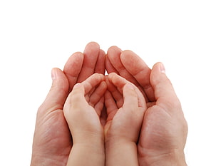 toddler's hands and adult person's hand HD wallpaper