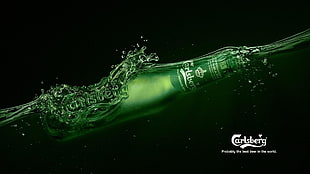 Carlsberg advertisement, beer, bottles, Carlsberg HD wallpaper