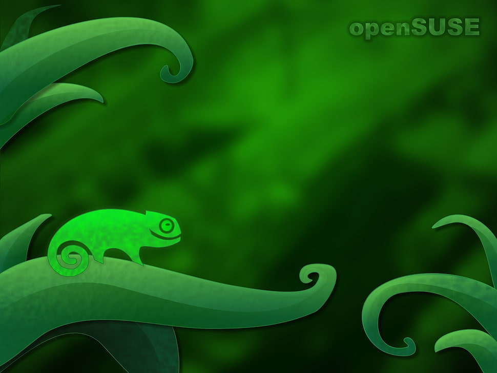 chameleon digital wallpaper, Linux, openSUSE HD wallpaper