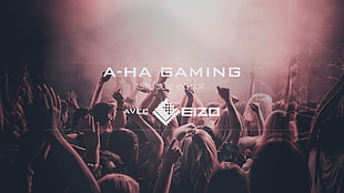 A-Ha Gaming