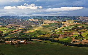 photo of green grass field