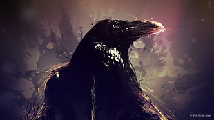 crow digital wallpaper, raven, artwork, animals, birds