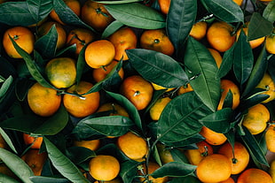 brunch of oranges, Mandarins, Fruits, Citrus