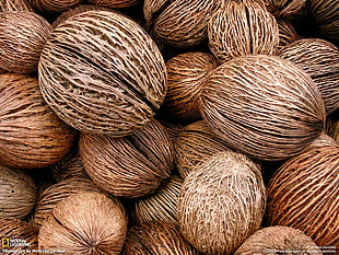 brown coconut shells in closeup photography, nuts, food