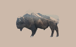 brown bison, double exposure, animals, mountains, nature