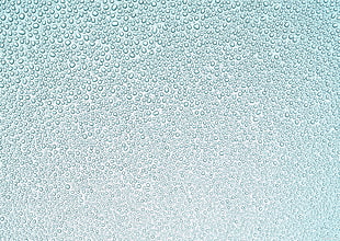 moist fog glass