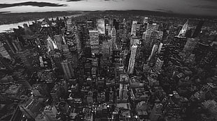 high-rise buildings in grayscale photography
