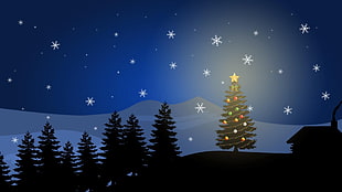 green christmas tree under starry sky