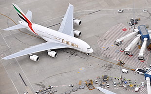 white Emirates airliner, aircraft, airplane, passenger aircraft, Airbus HD wallpaper