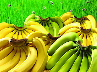 banana fruits on green grass