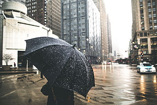 black and gray umbrella, umbrella, city, rain