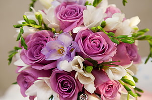 white and pink Rose flowers bouquet