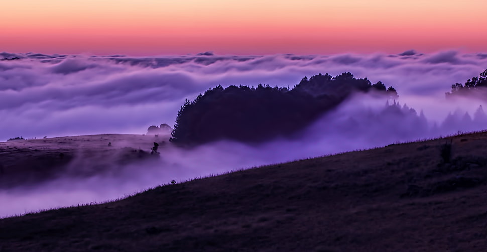 foggy mountain during sunset HD wallpaper