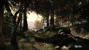 green grass field, The Vanishing of Ethan Carter, video games, forest
