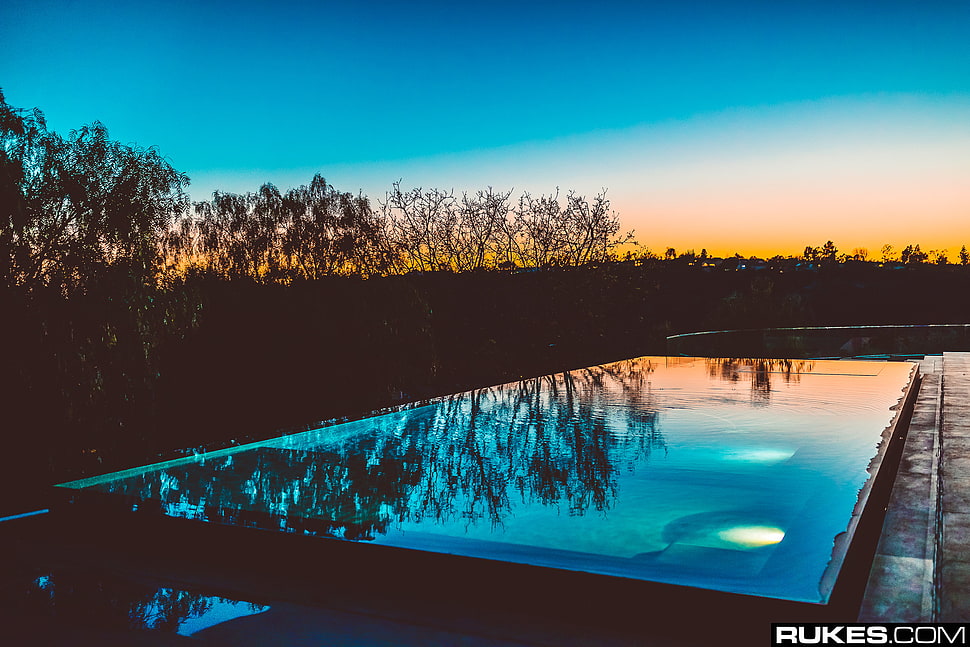 green tree, swimming pool, reflection, sunset, dead trees HD wallpaper