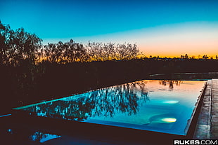 green tree, swimming pool, reflection, sunset, dead trees